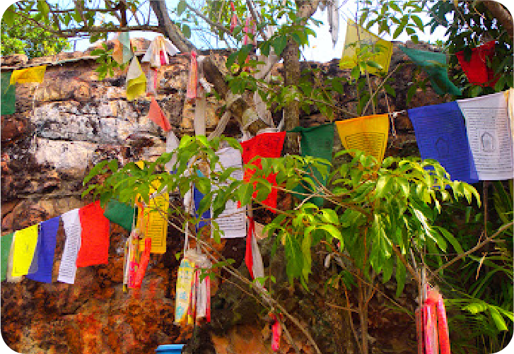 kusu-wishing-tree